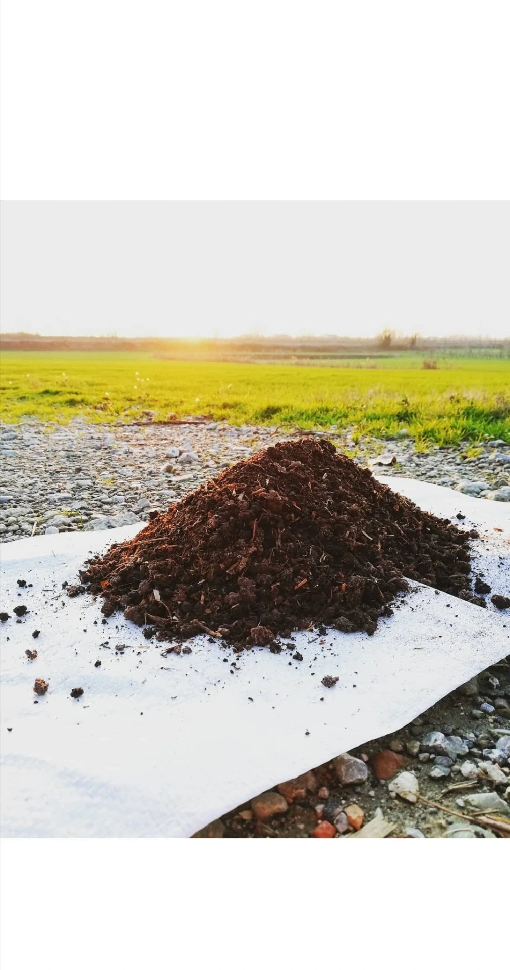 LOMBRUMUS - VERMICOMPOST DI LOMBRICO Confezione 2,1kg/3,5l raffinato