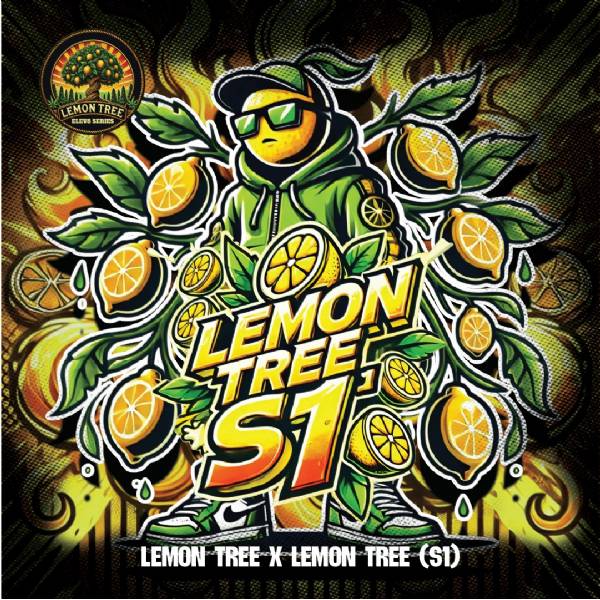 Elev8 Seeds - Lemon Tree S1