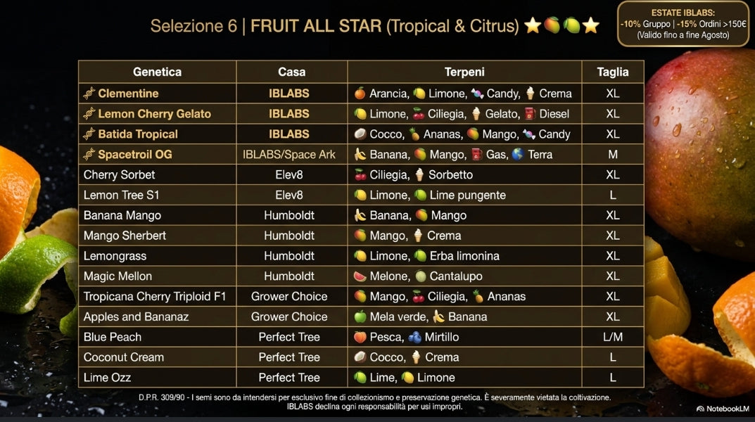 SELEZIONE 6 "FRUIT ALL STAR "