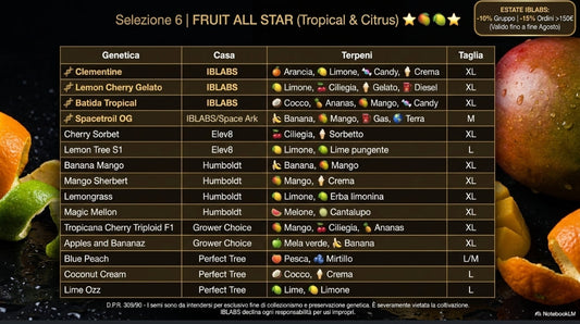 SELEZIONE 6 "FRUIT ALL STAR "