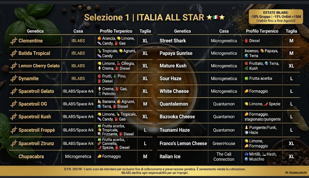 SELEZIONE 1 "ITALIA ALL STAR"