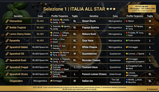 SELEZIONE 1 "ITALIA ALL STAR"