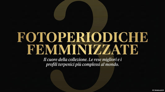 SELEZIONE 12 FOTOPERIODICHE FEM DISPONIBILI