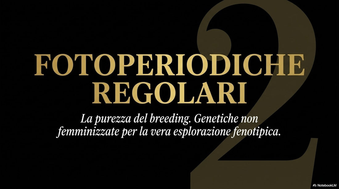 SELEZIONE 13 FOTOPERIODICHE REGOLARI