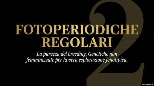 SELEZIONE 13 FOTOPERIODICHE REGOLARI