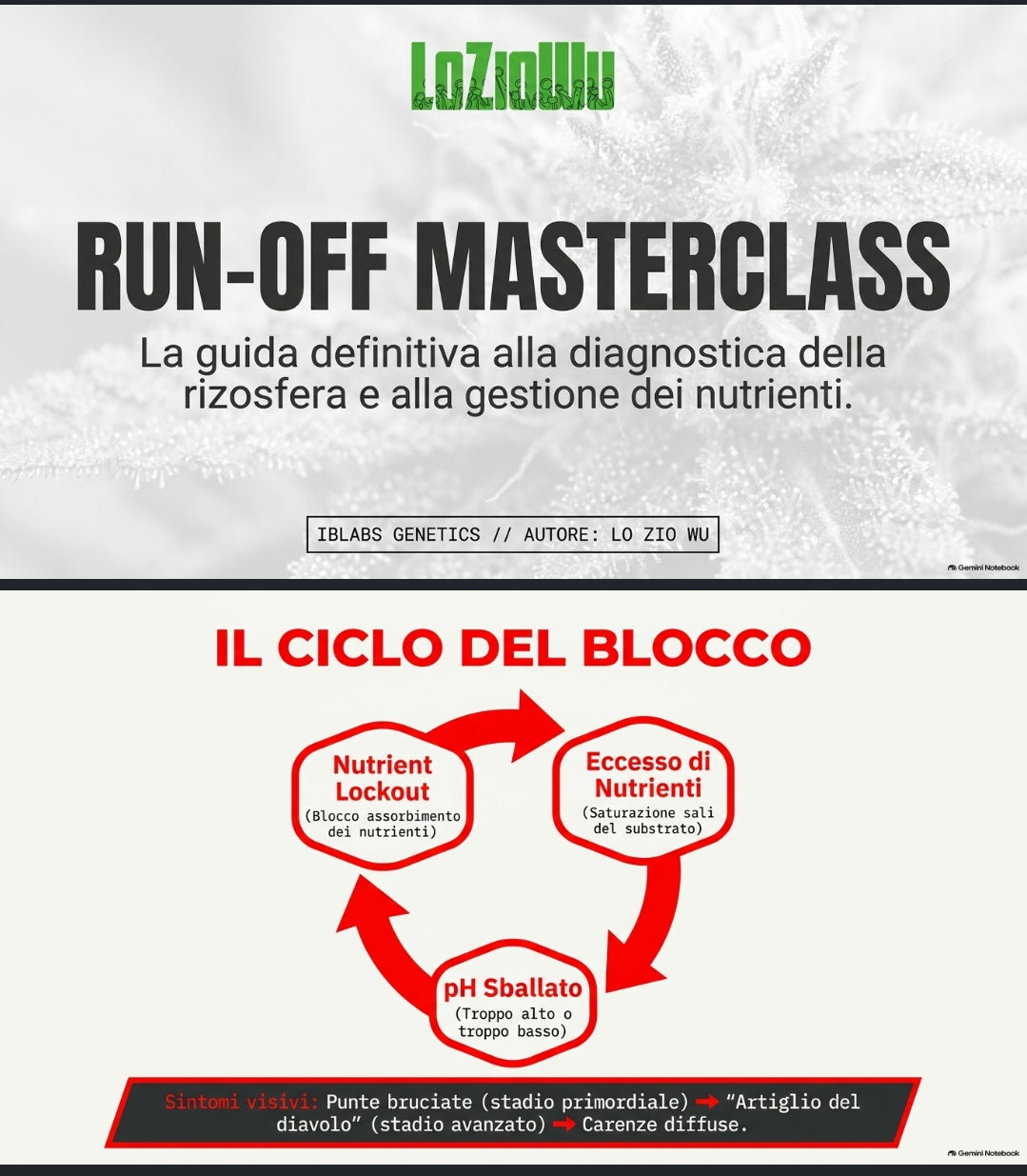 RUN-OFF tutto quello che c'è da sapere