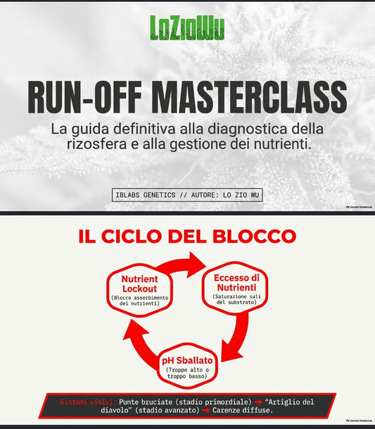 RUN-OFF tutto quello che c'è da sapere
