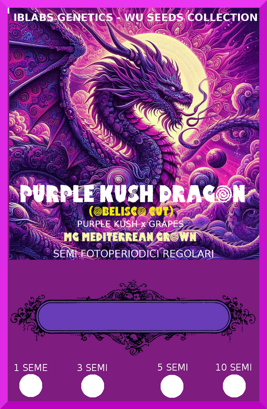 Purple Kush Dragon