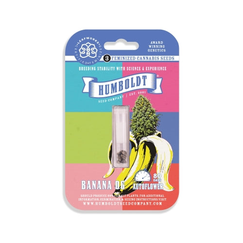 HUMBOLDT SEED COMPANY - BANANA OG AUTO - 5 SEMI