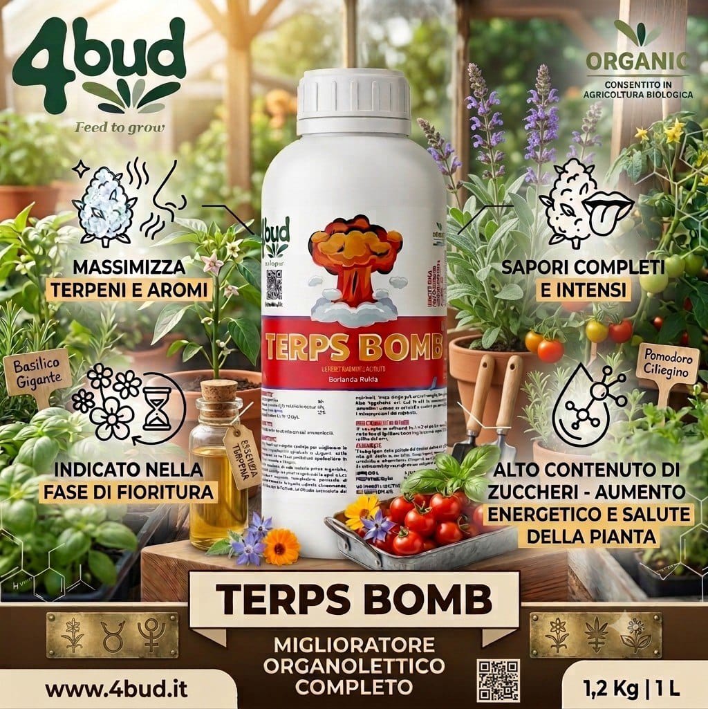 Terps Bomb  1 LT