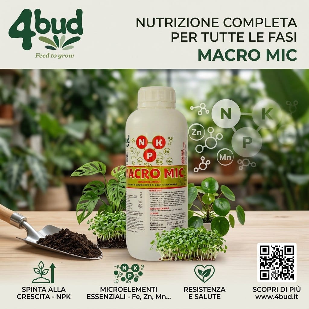 MACRO MIC 5 LT