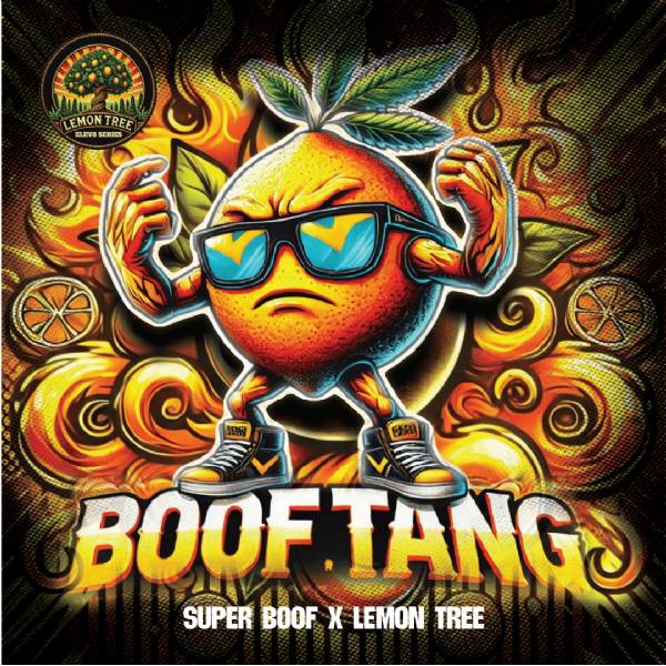 Elev8 Seeds - Boof Tang - 3 semi femminizzati
