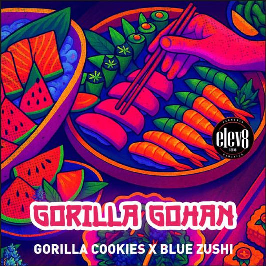 Elev8 Seeds - Gorilla Gohan