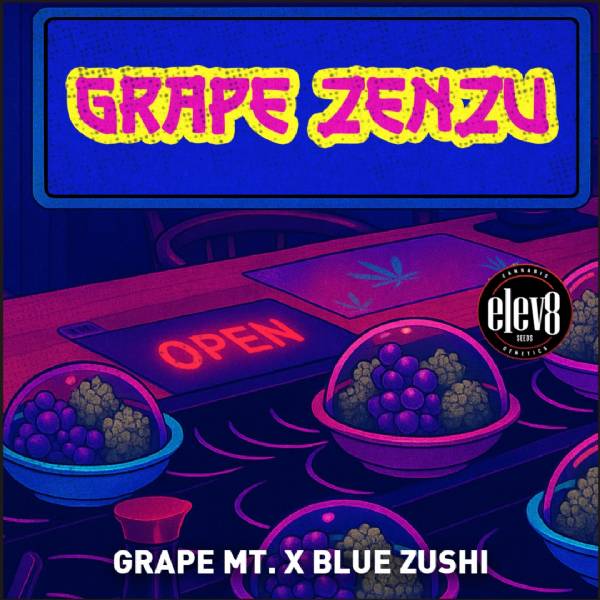 Elev8 Seeds - Grape Zenzu