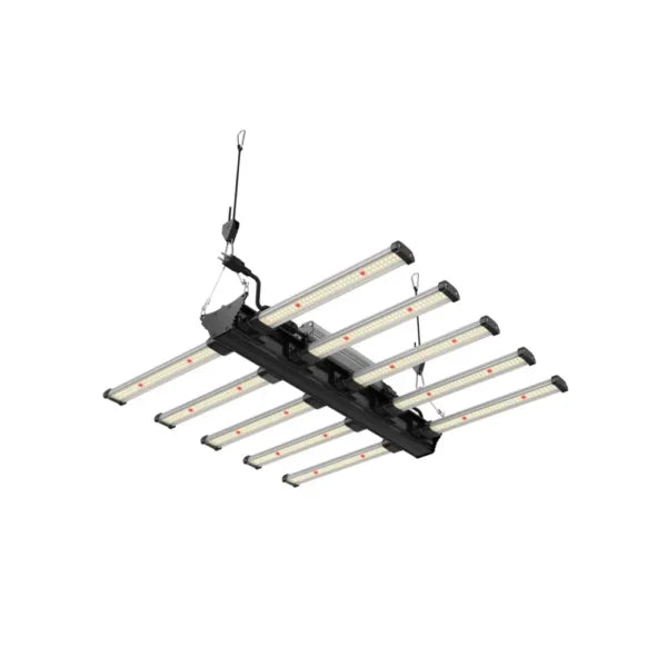 F.O.G. Lampada LED 320W Black Serie + Dimmer (no Barra UVB)