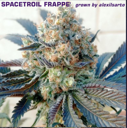Spacetroil Frappe'